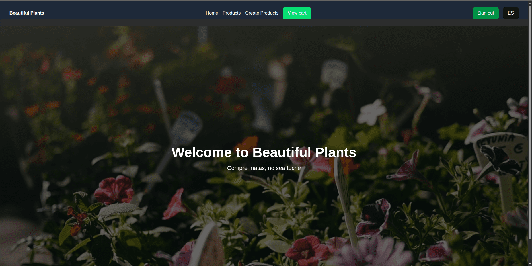 Plantas Bonitas E-commerce